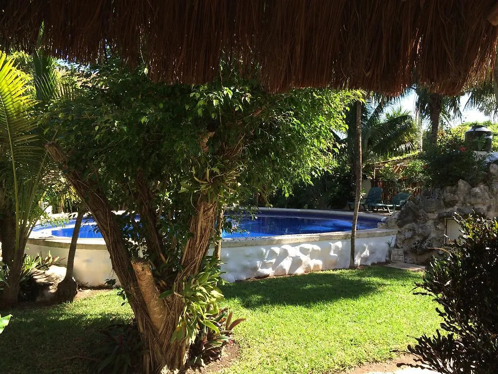 أكومال Hotel Que Onda