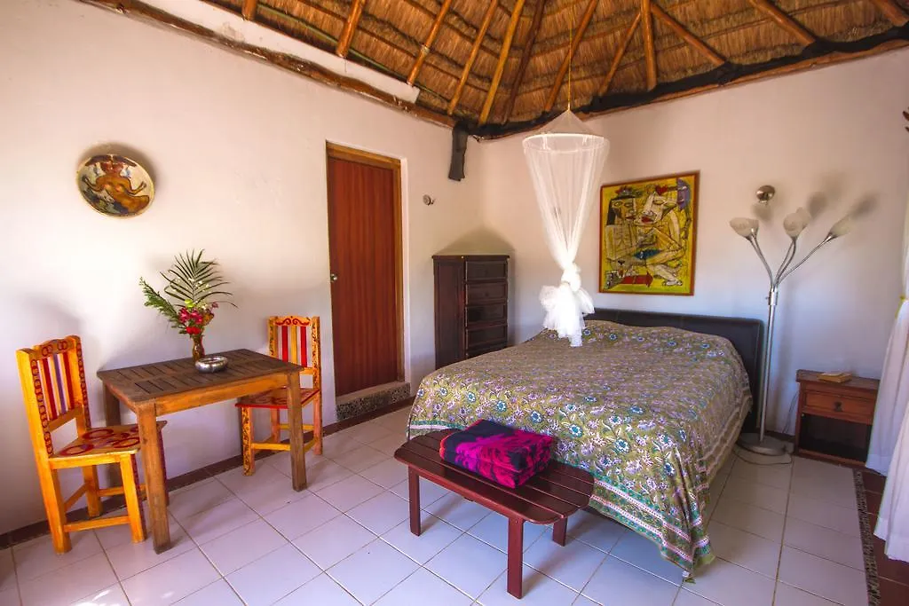 ***  أكومال Hotel Que Onda المكسيك