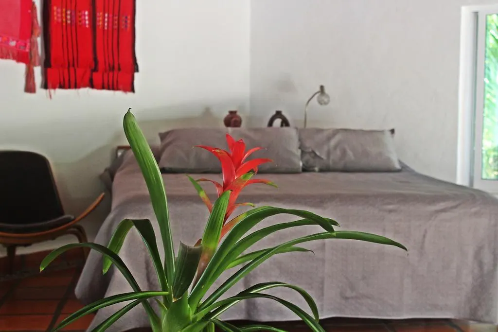 أكومال Hotel Que Onda المكسيك