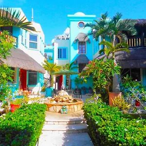 Casa Gatos ** Akumal