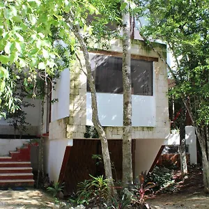 Luxury tent Casa Del Arbol At Duendes